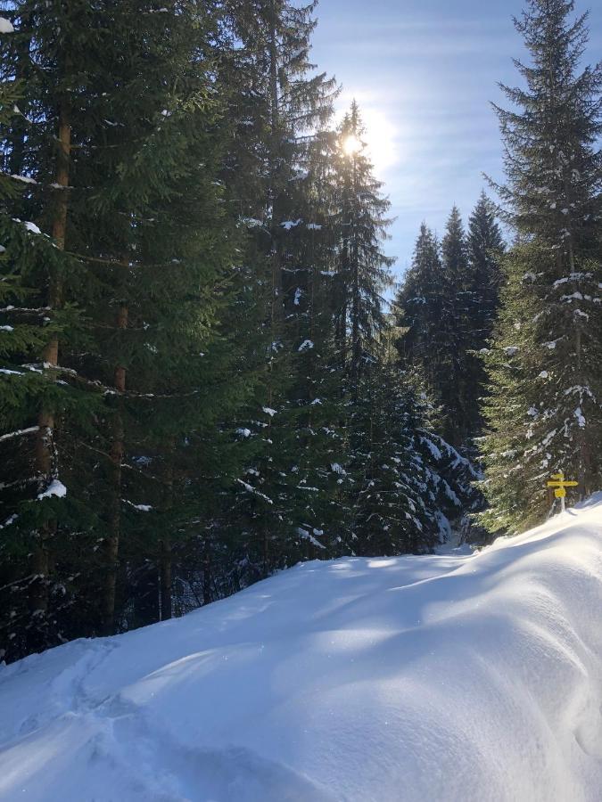 Paradise On Mountain Taxenbach Exterior foto